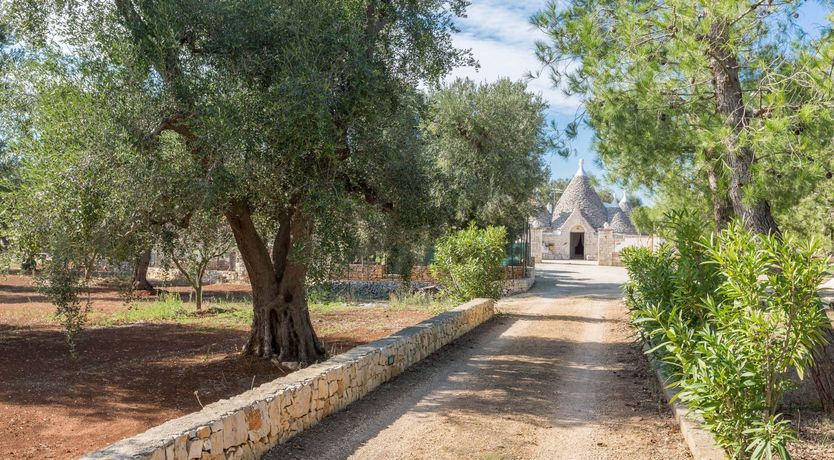 Photo of Palazzo Dream