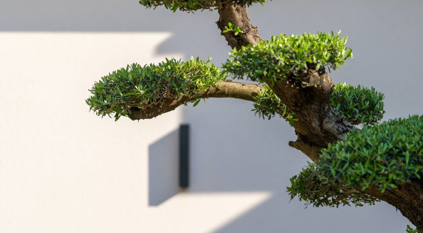 Photo of Aegean Overture