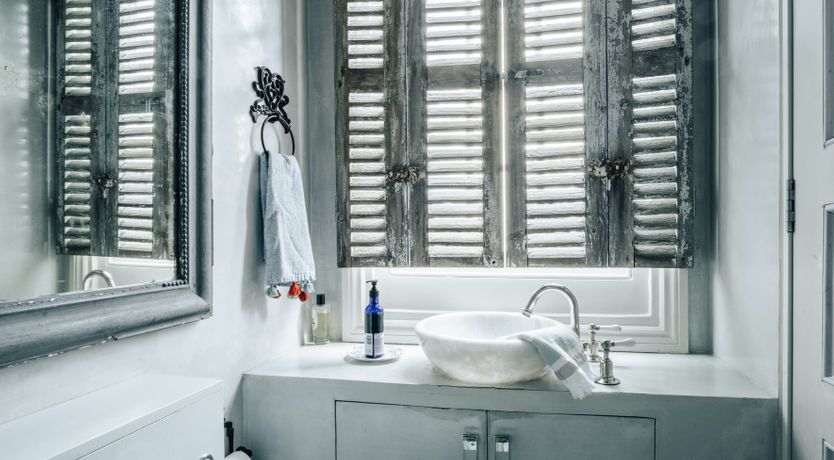 Photo of The Golden Lily