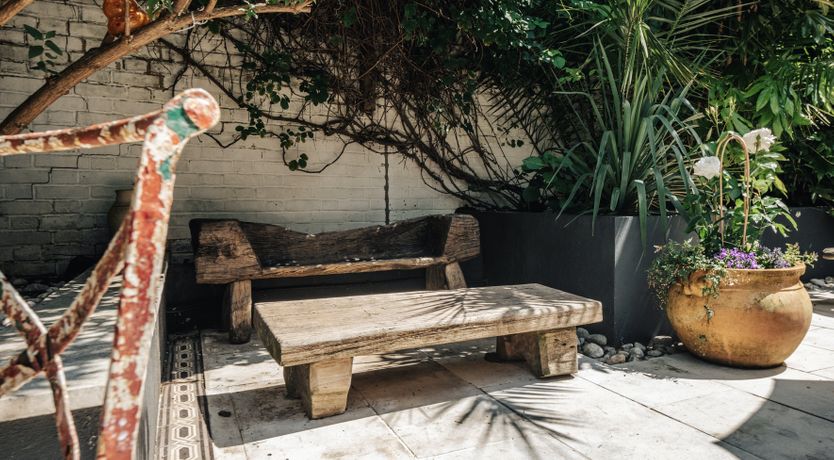 Photo of The Golden Lily