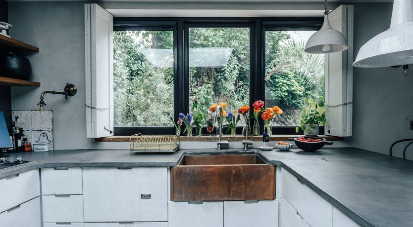 Photo of The Golden Lily