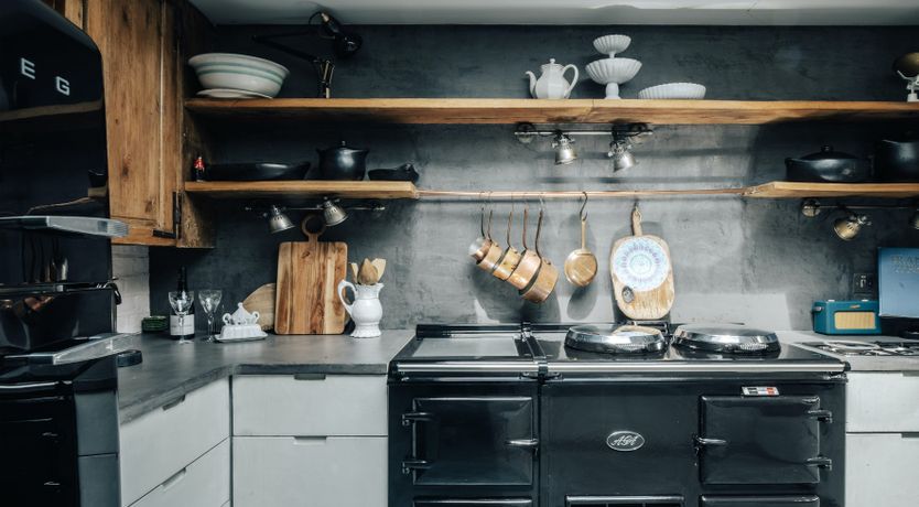 Photo of The Golden Lily