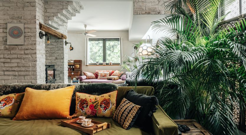 Photo of The Golden Lily