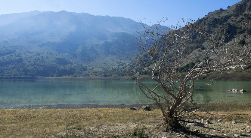 Photo of Between a Lake & a Hard Place