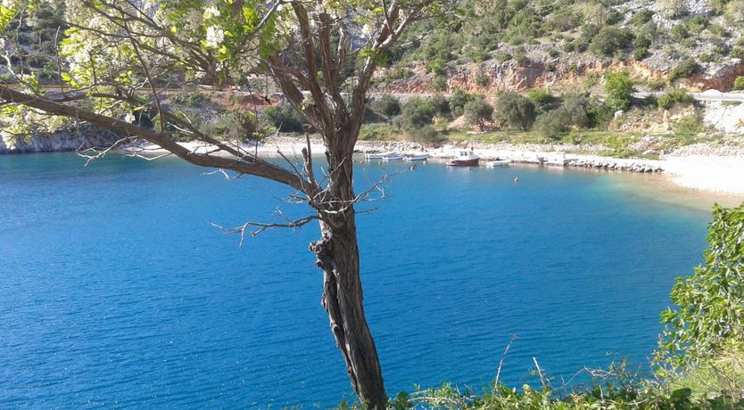 Photo of Green Gate Gardens