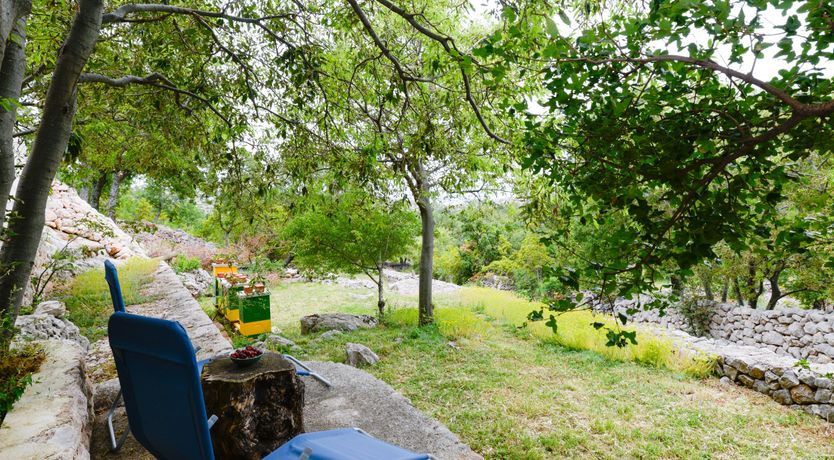 Photo of Green Gate Gardens