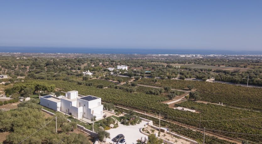 Photo of Blue Moon Place