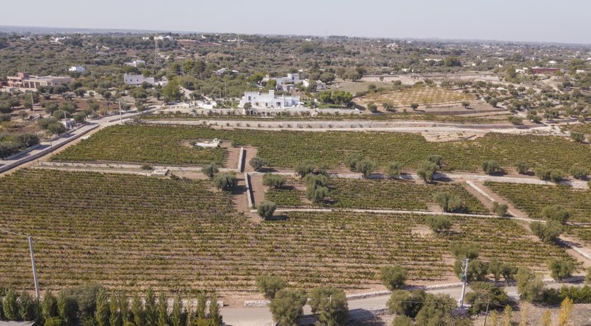 Photo of Blue Moon Place