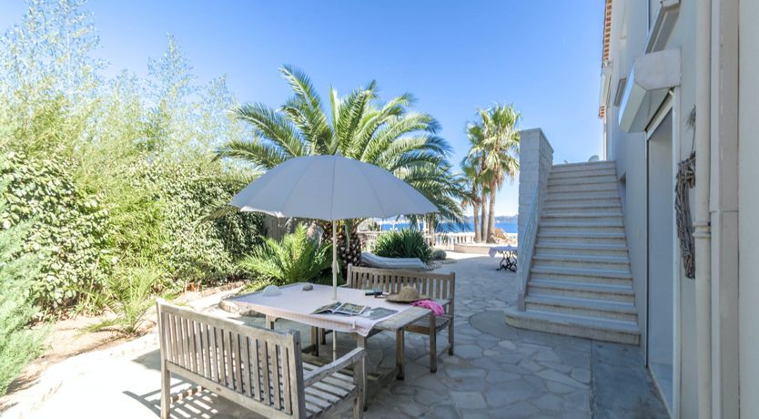 Photo of The Rose of the Hills