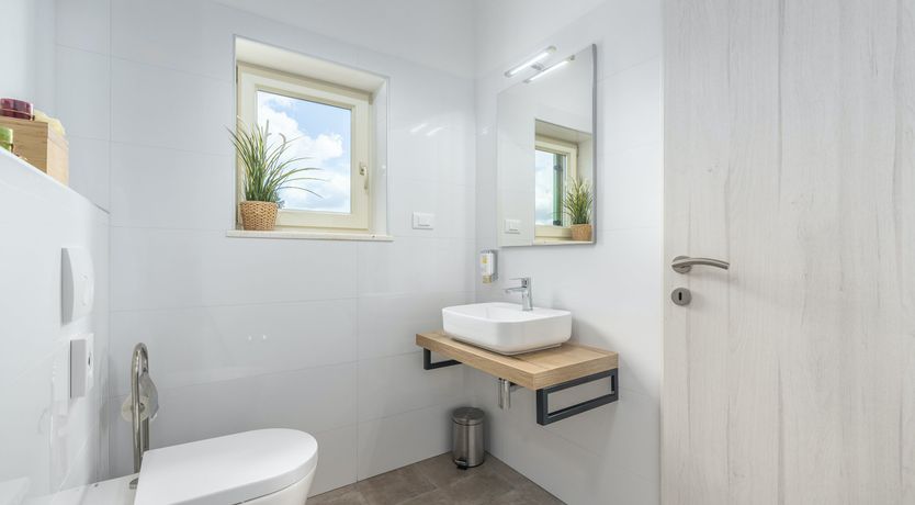 Photo of Sunflowers in Spring