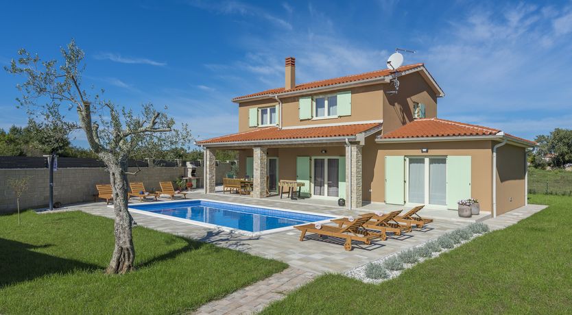 Photo of Sunflowers in Spring