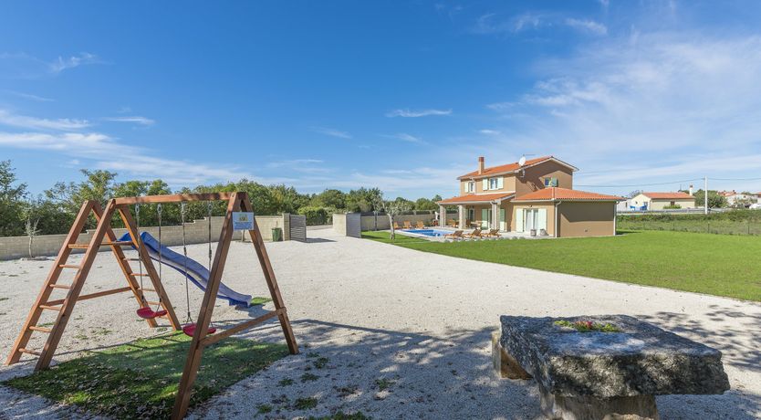 Photo of Sunflowers in Spring