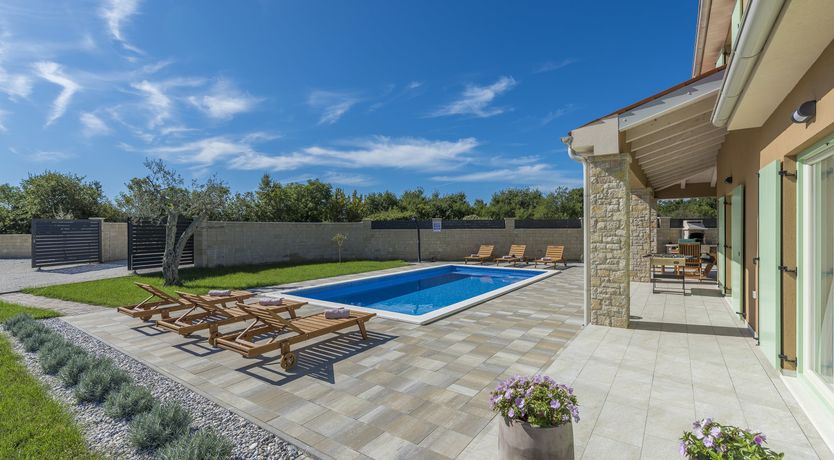 Photo of Sunflowers in Spring