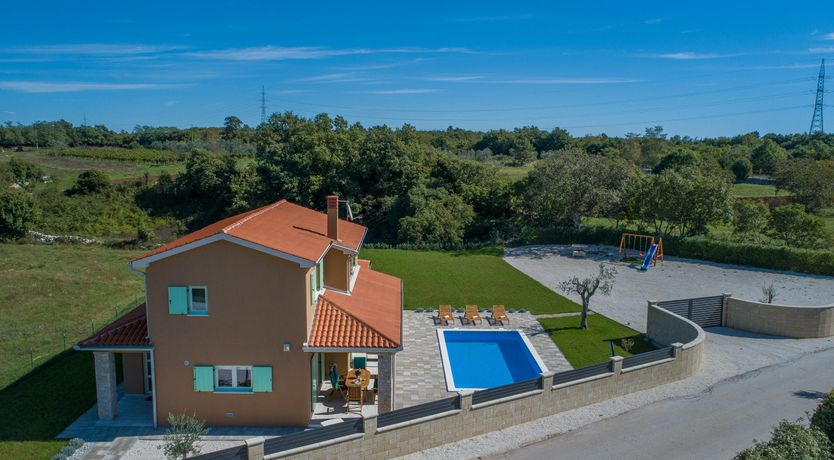 Photo of Sunflowers in Spring