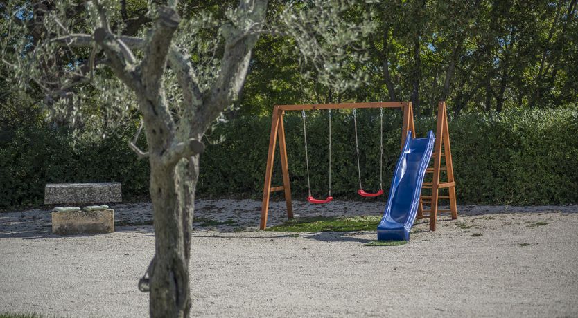 Photo of Sunflowers in Spring
