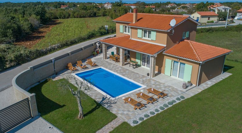 Photo of Sunflowers in Spring