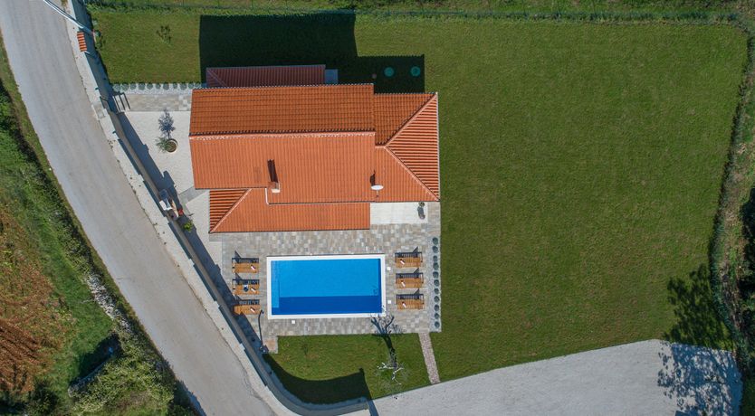 Photo of Sunflowers in Spring