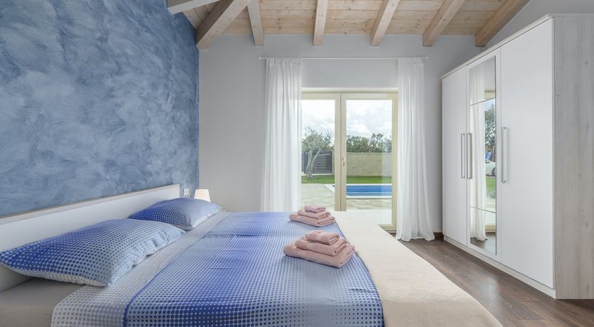 Photo of Sunflowers in Spring