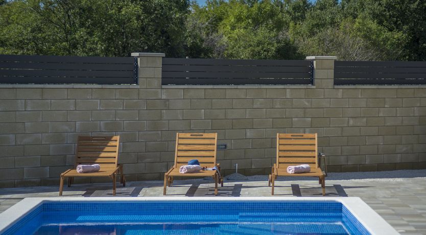 Photo of Sunflowers in Spring