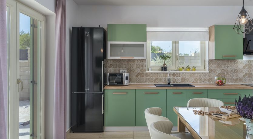 Photo of Sunflowers in Spring