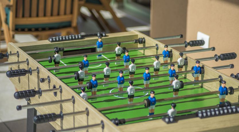 Photo of Sunflowers in Spring