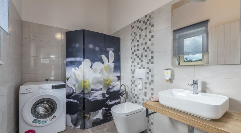 Photo of Sunflowers in Spring