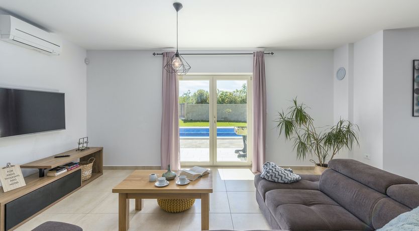 Photo of Sunflowers in Spring