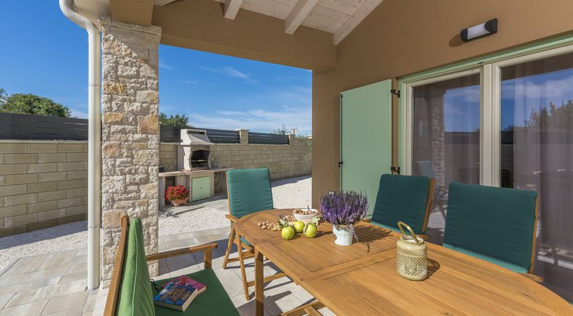 Photo of Sunflowers in Spring