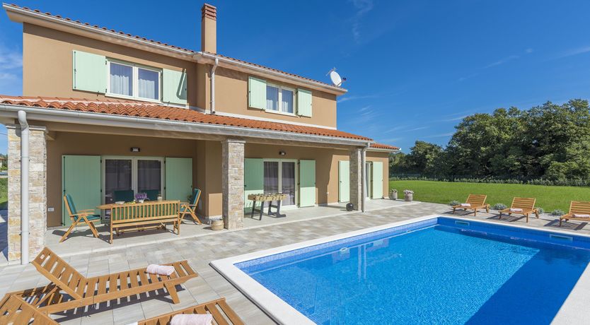 Photo of Sunflowers in Spring