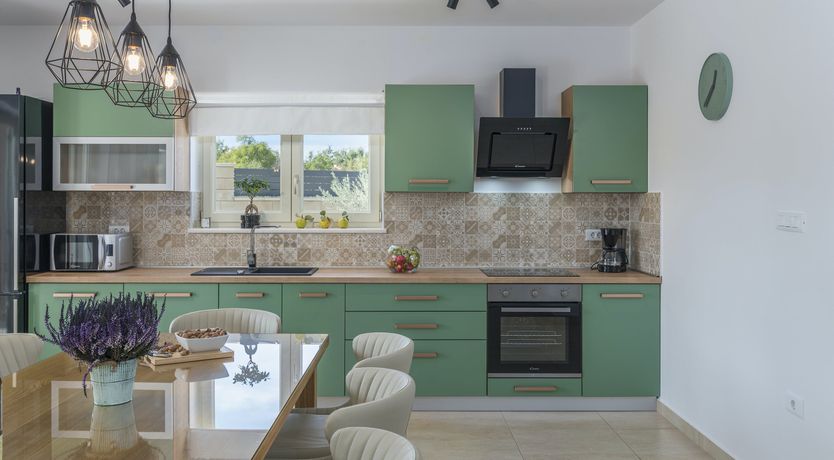 Photo of Sunflowers in Spring