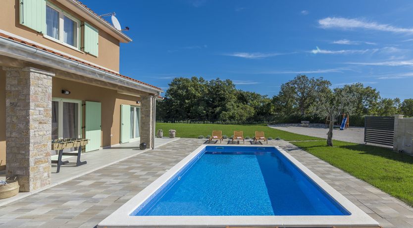 Photo of Sunflowers in Spring