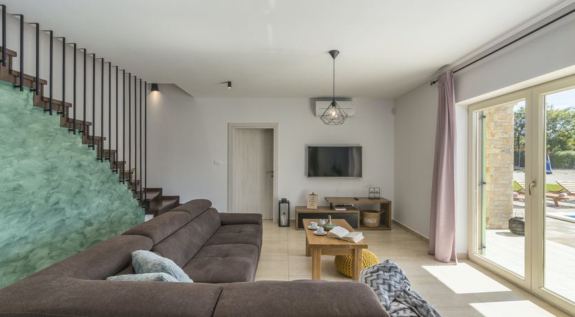 Photo of Sunflowers in Spring