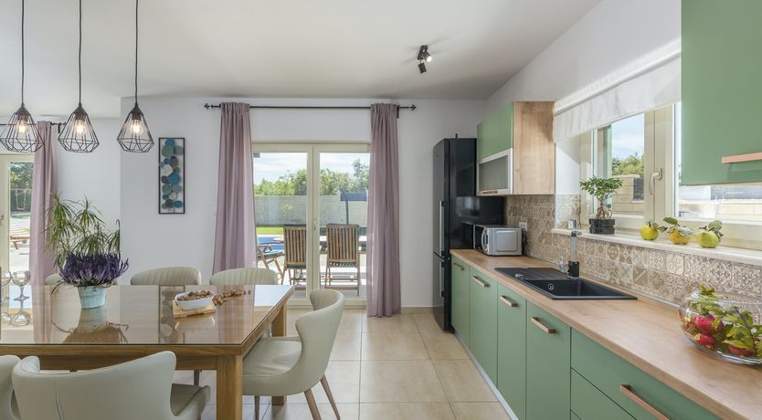 Photo of Sunflowers in Spring