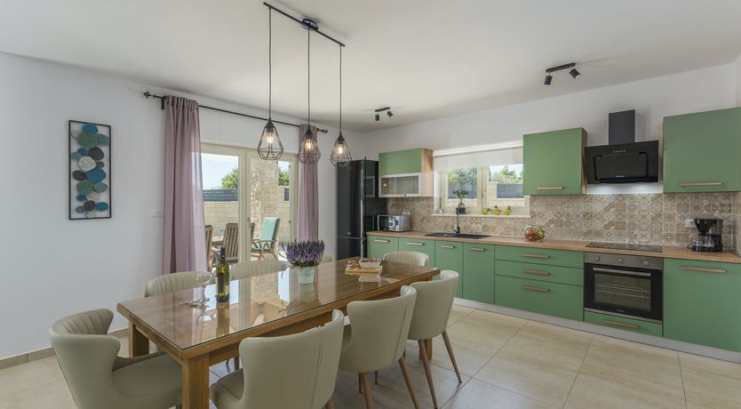 Photo of Sunflowers in Spring