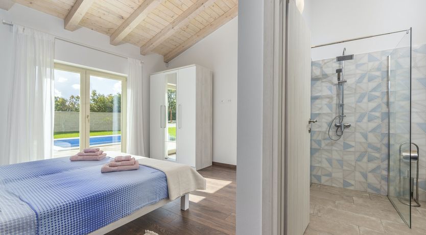 Photo of Sunflowers in Spring