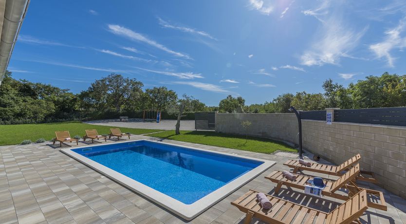 Photo of Sunflowers in Spring