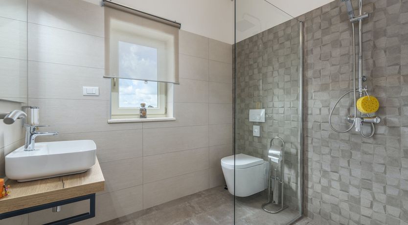 Photo of Sunflowers in Spring