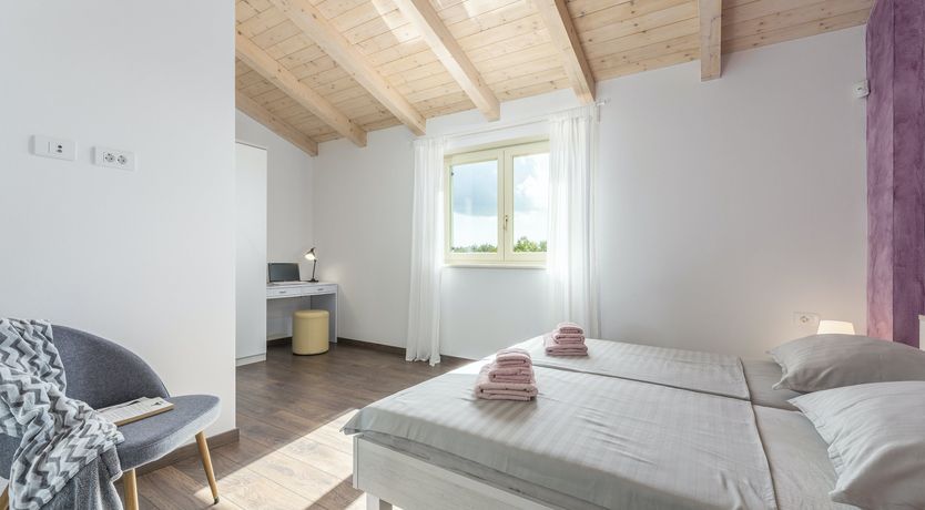 Photo of Sunflowers in Spring