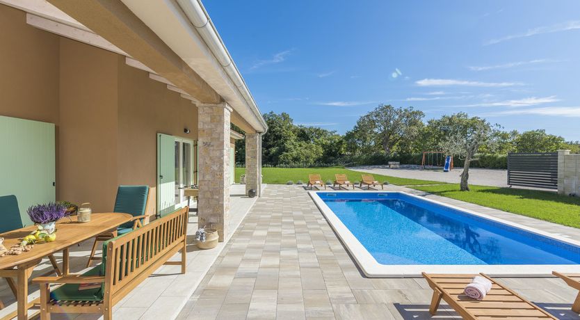Photo of Sunflowers in Spring