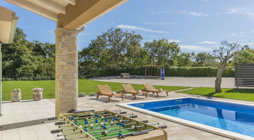 Photo of Sunflowers in Spring