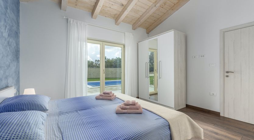 Photo of Sunflowers in Spring