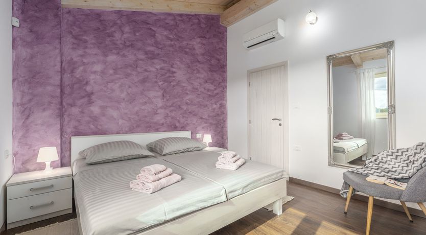 Photo of Sunflowers in Spring