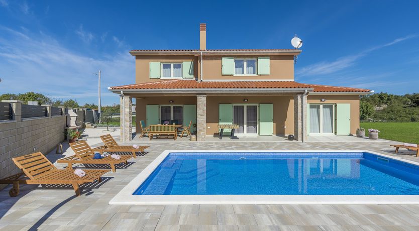 Photo of Sunflowers in Spring