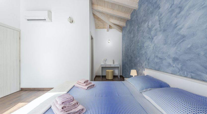 Photo of Sunflowers in Spring