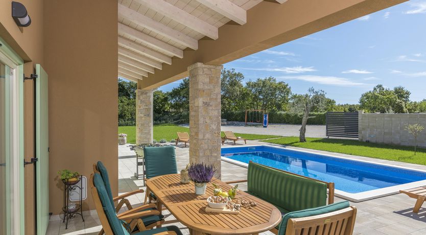 Photo of Sunflowers in Spring