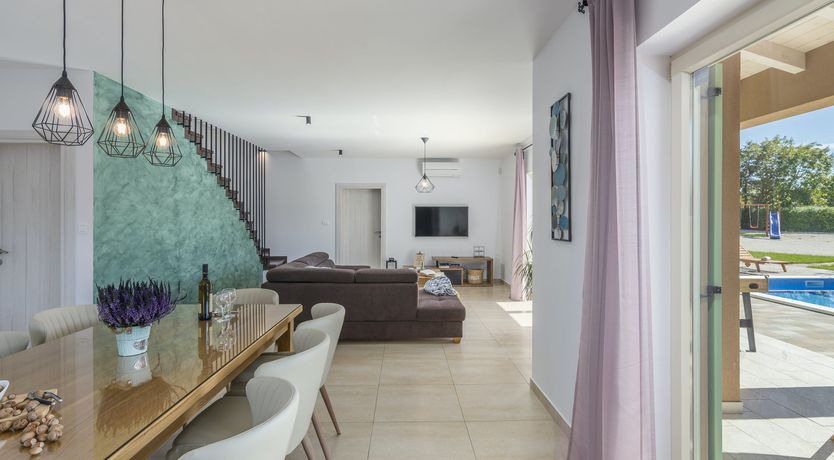 Photo of Sunflowers in Spring