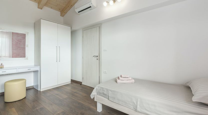 Photo of Sunflowers in Spring