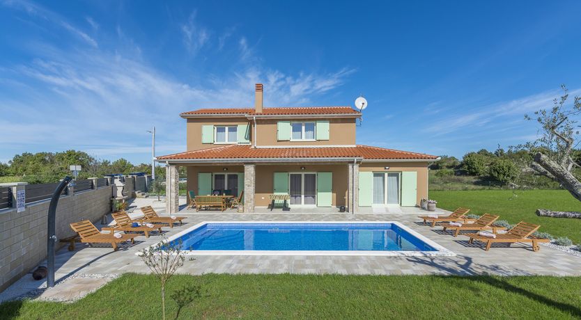 Photo of Sunflowers in Spring