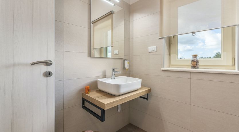 Photo of Sunflowers in Spring