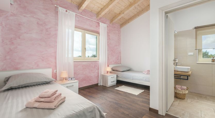 Photo of Sunflowers in Spring